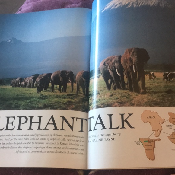 Vintage National Geographic Vol.#176 No.2 August 1989 - Picture 11 of 14